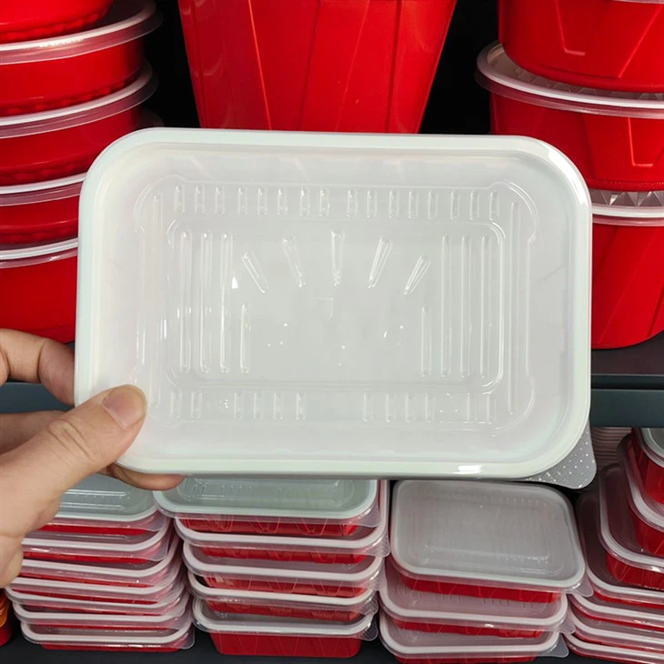 Rectangle Disposable Plastic Take Away Food Containers